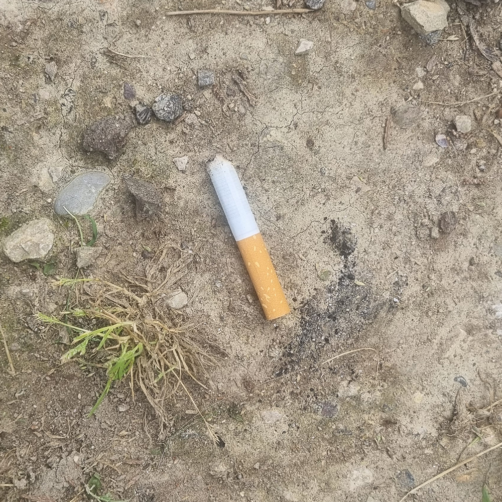 Photo mégot